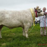 Midleton agricultural show