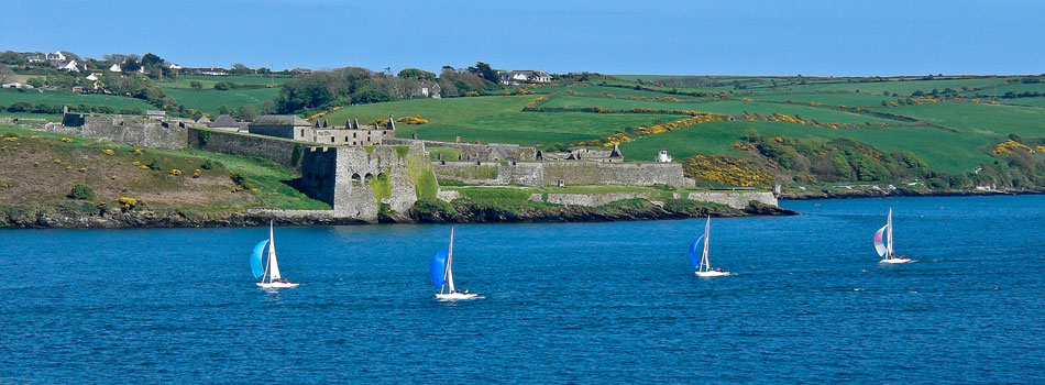 Colourful boats in a County Cork harbour