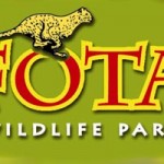 fota wildlife park
