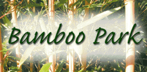 lettersBamboo