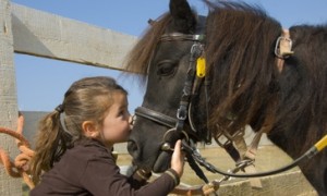 Clonakilty Equestrian Centre