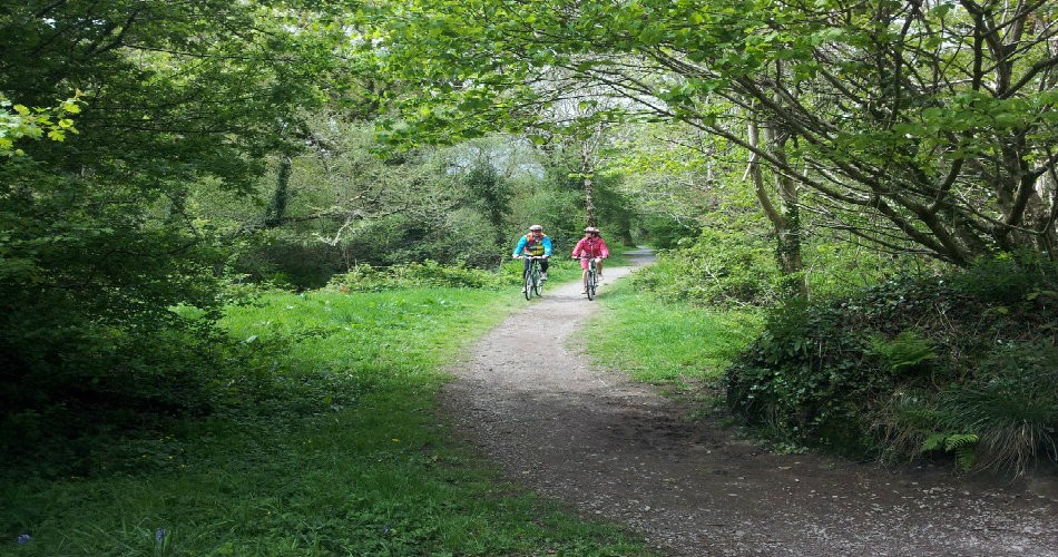 Cycle west cork cover 950 wpcf_950x500