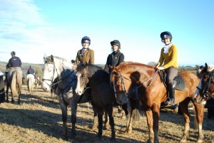 BallinadeeKinsaleTrekking Stables