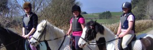 Bantry House Riding Centre